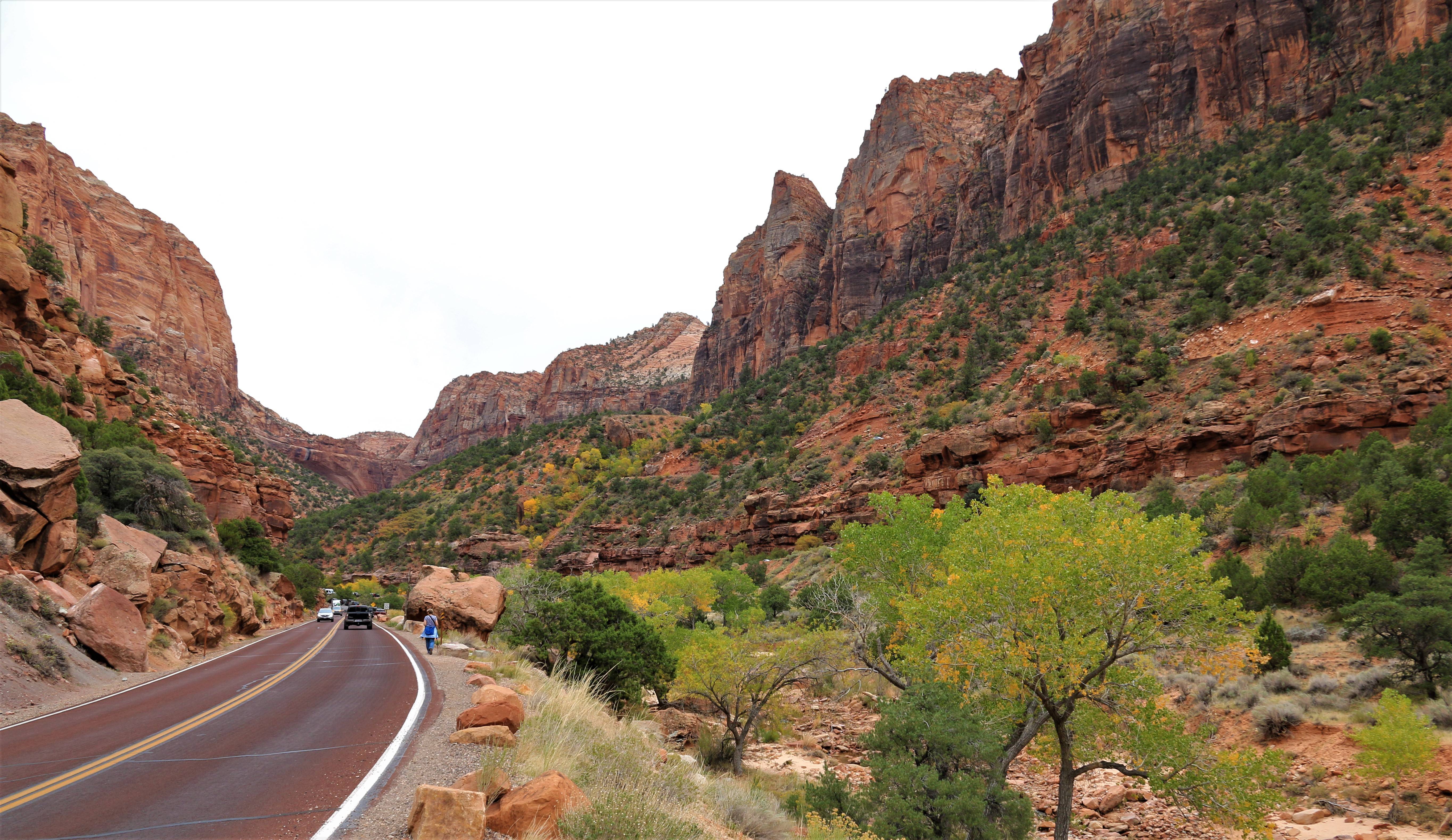 Zion NP